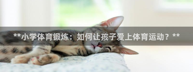 64体育