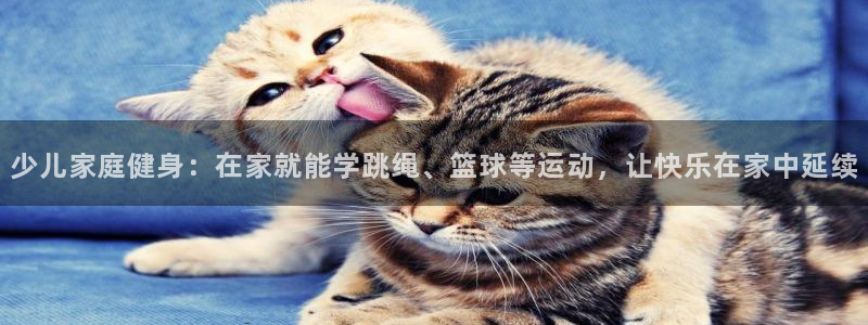 关键词