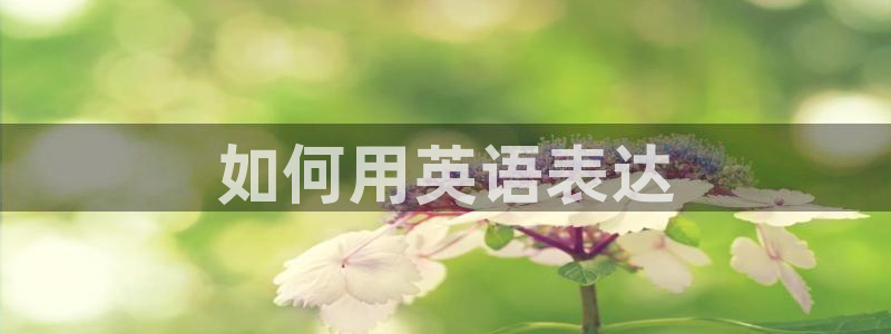 关键词
