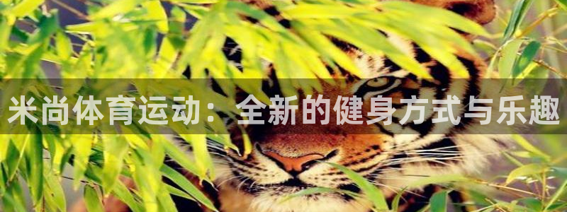 关键词：米尚体育运动：全新的健身方式与乐趣