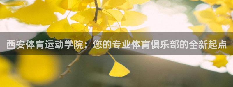 64体育：西安体育运动学院：您的专业体育俱乐部的全新起点